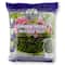 12 Pack: SuperMoss® Preserved Green Moss